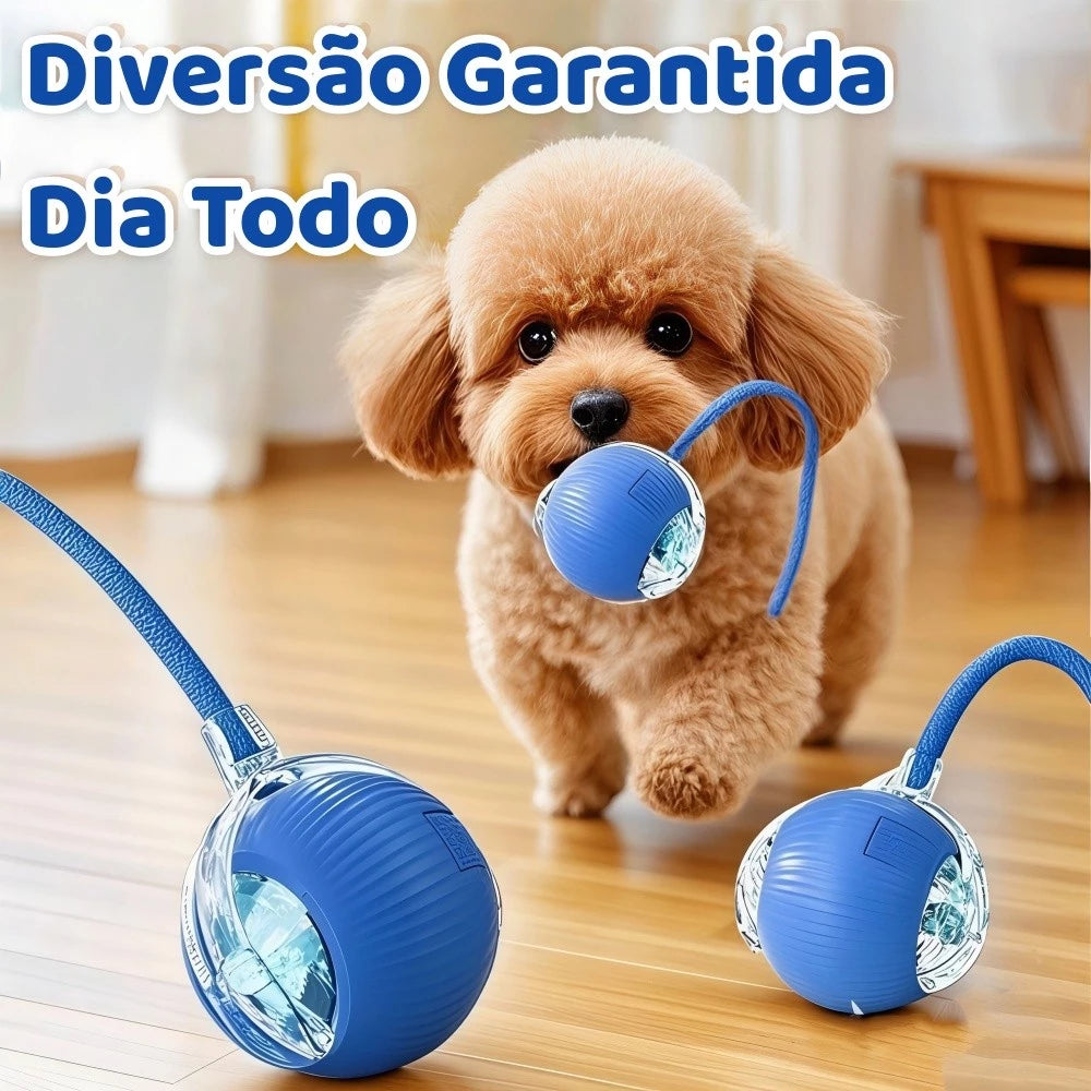 Bola Automática para Pets - Divertimento e Exercício para Gatos e Cães