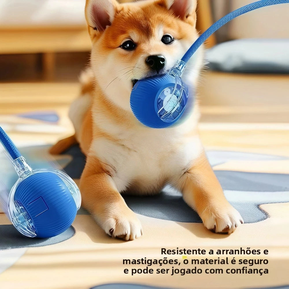 Bola Automática para Pets - Divertimento e Exercício para Gatos e Cães